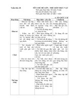 Kế hoạch giáo dục tuần 20: 