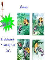 Kể chuyện 2 - Tuần 28 - Kho báu