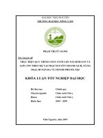 Thực hiện quy trình chăn nuôi lợn nái sinh sản và lợn con theo mẹ tại trại nguyễn thanh lịch, xã ba trại, huyện ba vì, thành phố hà nội​  