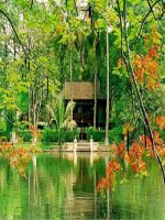 BGĐT môn Tiếng Việt - Lớp 4a1- Tuần 16- Tuyết Thanh