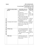 Tuần 8. Gia đình thân yêu của bé