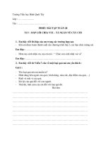 Bài giảng Tuần 28 - Khối 2