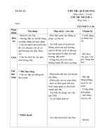 Giáo án tuần 33 chủ đề 