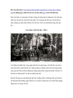 Tải Bài văn mẫu lớp 9: Cảm nhận 2 khổ thơ đầu trong Bài thơ về tiểu đội xe không kính -  Những bài văn mẫu lớp 9 hay nhất