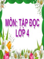 Tập đọc 4 - Tuần 15 - Bài 2: Tuổi ngựa