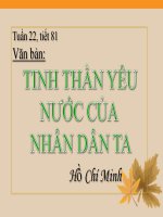 Tiết 81 - Văn bản: TINH THẦN YÊU NƯỚC CỦA NHÂN DÂN TA