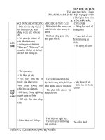 Giao an tuan 30. hien tuong tu nhien