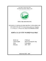 Xây dựng và đánh giá sinh trưởng vườn giống gốc cây giảo cổ lam 7 lá (gynostemma pubescens (gagnep ) c  y  wu ex c  y  wu et s  k  chen) tại tỉnh hà giang​  