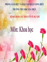 Khoa học 5 - Tuần 20 - 5A7 - Vân Anh:Sử biến đổi hóa học tiếp theo