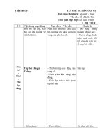 Giao an cay va nhung bong hoa dep tuan 3