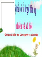 TỰ NHIÊN XÃ HỘI 3 - TUẦN 18 - ÔN TẬP VÀ KIỂM TRA HỌC KÌ 1