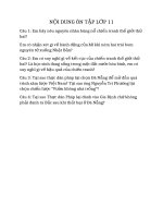 triển khai học tập trực tuyến môn sử các lớp 9 10 11 12  ttgdnngdtx quận 4