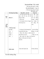 GIÁO ÁN TUẦN 20- NGÀY TẾT TRÊN QUÊ EM