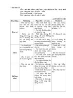 Giáo án tuần 31: Quê Hương (Năm học 2017- 2018)