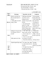 Giáo án tuần 30 ( Năm học 2018-2019) mùa hè