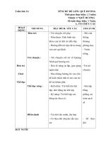 TUẦN 31: NHÁNH 1: BÌNH DƯƠNG QUÊ HƯƠNG EM