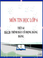 Tin 6 - Trình bày cô đọng bằng bảng