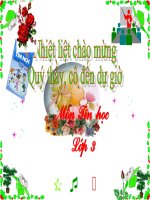 Tin học 3 - Bài 1: Người bạn mới của em