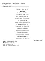 * Phiếu học tập - Khối 2 - Tuần 28