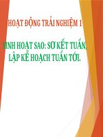 HĐTN 1- TUẦN 18-  SHL