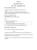 # Đáp án - Khối 4 - Tuần 25