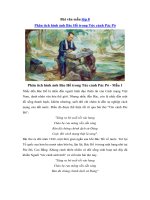 Tải Bài văn mẫu lớp 8: Phân tích hình ảnh Bác Hồ trong Tức cảnh Pác Pó -  Những bài văn hay lớp 8