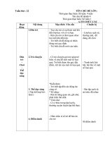 tuần chính 22 một số loại quả