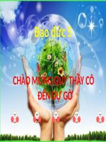 Đạo đức 5 - Tuần 30- Bảo vệ tài nguyên thiên nhiên (t1)