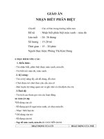 Giáo án nhận biết phân biệt: Nhận biết phân biệt màu xanh, màu đỏ