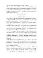 Tải Cảm nhận khổ thơ đầu tiên trong bài thơ Sang Thu của Hữu Thỉnh -  Tài liệu ôn tập môn Ngữ Văn lớp 9