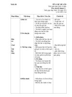 giáo án tuần 21 chợ tết quê em