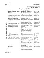 tuần 8 Bé bảo vệ bản thân như thế nào