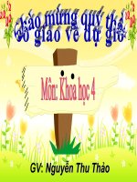 Khoa học - Tuần 16 - Không khí gồm những thành phần nào?