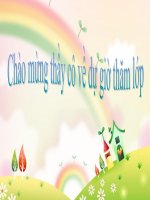 Giáo án Mĩ Thuật Khối 5- chủ đề 8