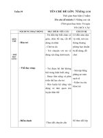 Giáo án tuần 19- Những con vật sống dưới nước