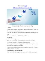 Tải Bài văn mẫu lớp 9: Nghị luận về khát vọng trong cuộc sống -  Những bài văn hay lớp 9