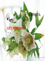 Chính tả  3- Tuần 30 - Bài:  Liên Hợp quốc