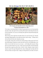 Tải Bài văn mẫu lớp 6: Bài viết số 7 (Đề 1 đến Đề 4) -  Bài viết số 7 lớp 6 đề 1, 2, 3, 4