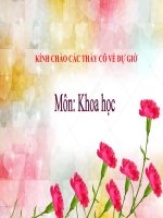 KHOA HỌC-TUẦN 19-LY