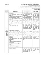 Tuần 17: KHOAI TÂY SẢN PHẨM NÔNG SẢN ĐẶC TRƯNG QUÊ HƯƠNG EM