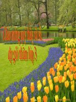 TẬP LÀM VĂN 3 - TUẦN 21 - NÓI VỀ TRÍ THỨC