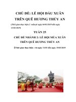 giao an tuan 25 chu de lê hôi đâu xuân trên quê hương thủy an