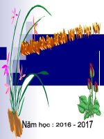 Sự nhiễm điện do cọ sát