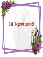 TẬP ĐỌC 1 - TUẦN 30 - NGƯỜI BẠN TỐT