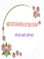 Giao an Lich sư Tuan 24 Lop 5