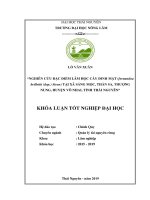 Nghiên cứu đặc điểm lâm học cây đinh mật (fernandoa brillettii (dop ) steen) tại xã sảng mộc, thần sa, thượng nung, huyện võ nhai, tỉnh thái nguyên​  