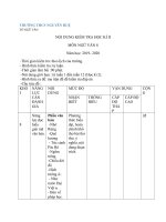 NỘI DUNG ÔN TẬP KIỂM TRA HỌC KỲ II NĂM HỌC 2019-2020