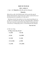# Đáp án - Khối 4 - Tuần 26