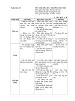 Kế hoạch giáo dục tuần 34: 