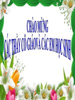 Địa lí 9: bài 12